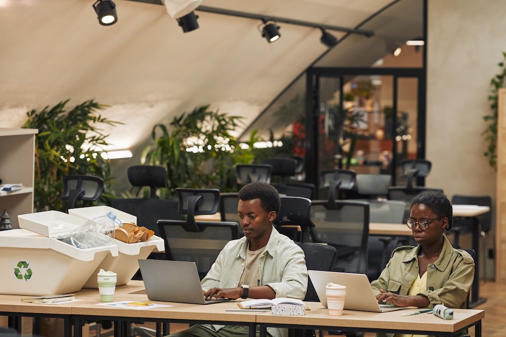 People Working in Eco Friendly Office